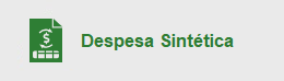 Despesa Sintética